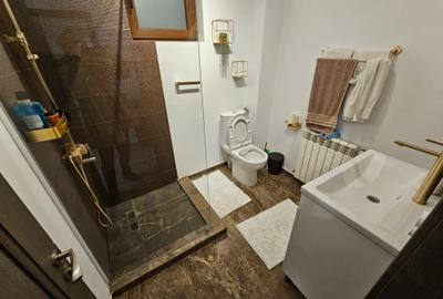 Vânzare Vilă Superbă Independentă P+1E+M, 244mp, Chiajna-Viilor - 47