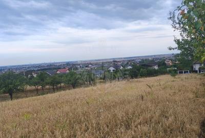 TEREN PAULESTI//10.000 MP - 1