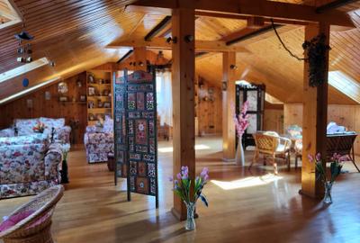 Vilă cu mobilă exotică și artă caraibiană – Snagov/Ciofliceni, aproape de lac - 1