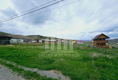 Teren intravilan | 2800 mp | 29 ml deschidere | Micesti - 3