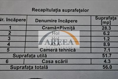 Vilă cu curte mare și piscină – ideală pentru familie, Pipera - 47