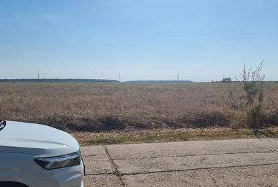 Ocazie- Teren Intravilan de Vanzare- Peris Snagov- Doar 8 euro/mp - 6
