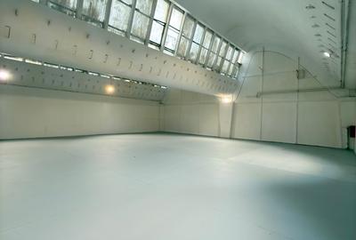 Pantelimon / Republica - Spațiu Industrial / Producție / Depozitare - 1