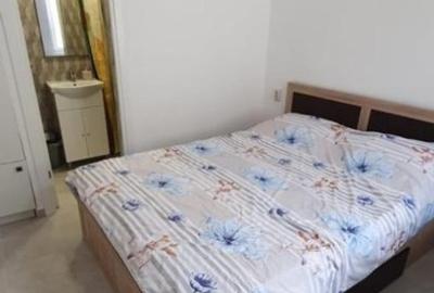 Persoana fizica vănd garsoniera cu 1 camera în casă cu curte comună - 6