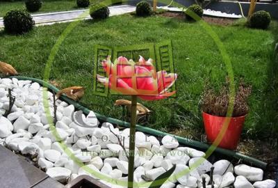 Casă individuală, zonă Trei Stejari – stradă liniștită, curte, garaj, 4 camere - 6