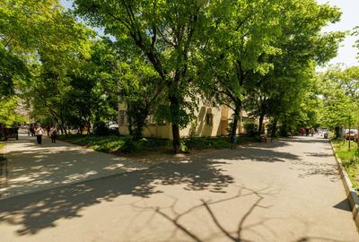 PARCUL CIRCULUI - Stefan cel Mare | 3 Camere in Inima Parcului - 5