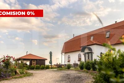 Conac de vanzare 7 camere cu bai proprii, crama, ciubar si potential - 1