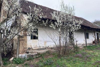 De vânzare casă cu teren - 1