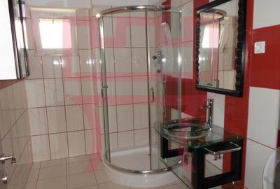 Inchiriere apartament 4 camere recent renovat in Plopilor Vest + garaj - 8