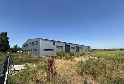 Inchiriere depozit/hala/spatiu industrial Chitila - Oxigenului, ILFOV - 6