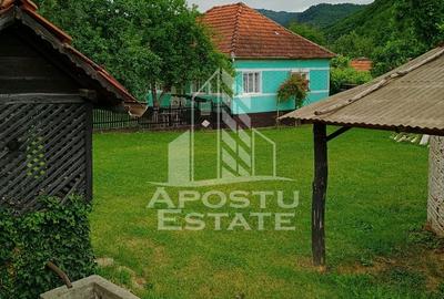 Casa batraneasca de vanzare, 4 camere, in Hunedoara, sat Micanesti - 30