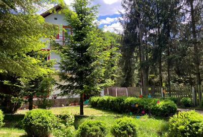 Vanzare Casa Timisul de Jos - 6