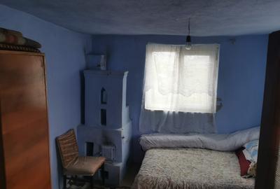 De vanzare casa in Argetoaia cu teren 7.000 mp - 8