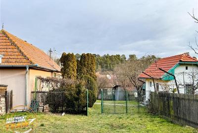 FILM! Oaza ta de liniste pe 0.5ha teren intravilan, Dalnic, Covasna - 11