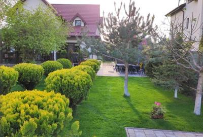 Casa 3 camere Domnesti - 14