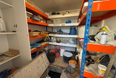 Vila individuala P+M ~ 4 camere  2 bai ~ teren 258mp - 19
