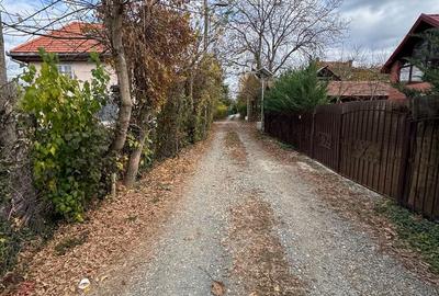 De vanzare Casa vila openspace P+M Relax naturi Mures trei insule Arad - 15