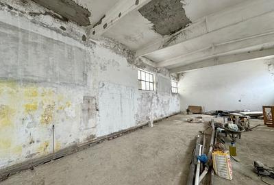 Hală industrială, 150 mp, în curs de renovare, zona Calea Baciului - 3