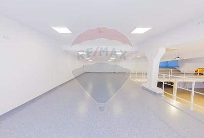 LUX! De inchiriat SPATIU COMERCIAL cu birouri, magazie și acces TIR - 12