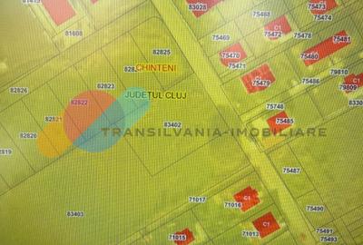 Teren 780mp Chinteni - 1