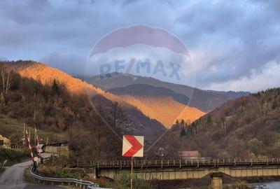 Casa / Vila cu 7 camere de vanzare - 1