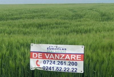 Teren 17.000mp Costinesti - zona Manastire - 100 euro/mp (Cod E2) - 2