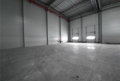 Spatiu Industrial - 450 mp - Depozitare - Distributie - 1