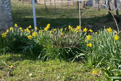 Casa demolabilă cu teren de vanzare in Breaza - 6
