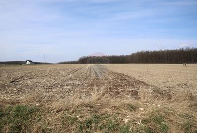 Teren 9,740mp Suceava / Strada Principala - 7