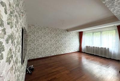 Vila Iancu Nicolae - 4