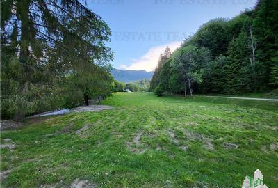 Teren Intravilan 12000 mp, Cascada Urlatoarea, proiect aprobat pentru Resort, la - 9