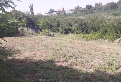 Teren Construcții intravilan de 985 mp, în Miroslava