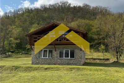 Cabana din piatra de codru si busteni pe Clisura Dunarii, Caraș-Severin - 13