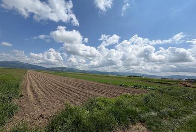 Teren extravilan 10.000 mp - Ieșire Prejmer spre Cărpiniș - 3