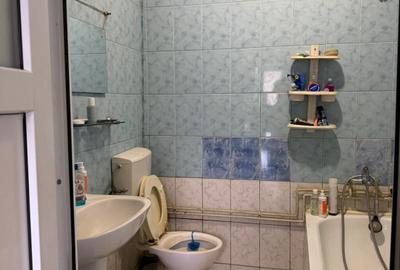 Apartament la casa,cu o camera,parcare,gradina - 10