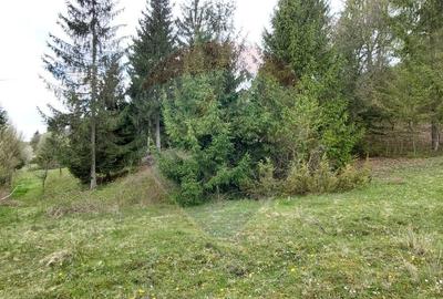 Poienita 2800mp, Covasna, zona hotel Clermont, inconjurat de padure - 16