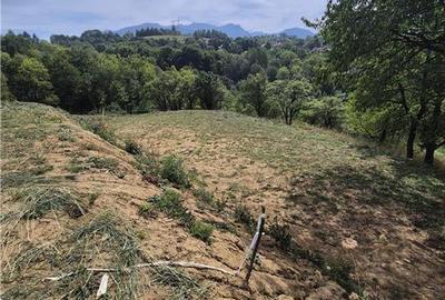 Teren intravilan pentru investitie turistica, 4000 mp, langa Club Vila Bran cu p - 3