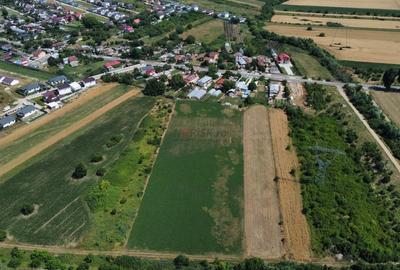 Teren Constructii Intravilan 4750mp SABARENI - 0% COMISION - 7