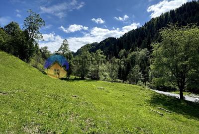 Teren 5777 mp in comuna Ceahlau - 9