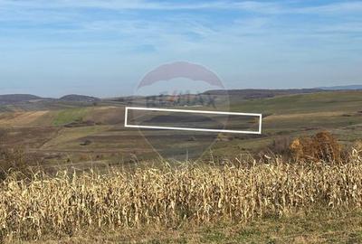 Teren agricol extravilan de 6446 mp, în Bogdand