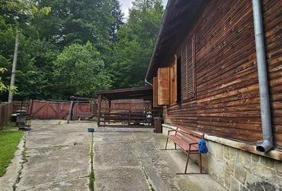 CASA DE VACANTA + TEREN PROPRIETATE IN STATIUNEA MONTANA SLANIC MOLDOVA - 14