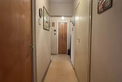 Tineretului-strada Trestiana-apartamentul 3 camere - 1