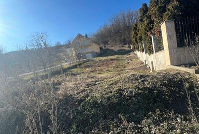 Teren Construcții de 1100 mp, în Centura