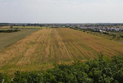 Oportunitate Investitie Teren 5.4HA  Deschidere la Lac, Padure, Paradisul Verde - 7