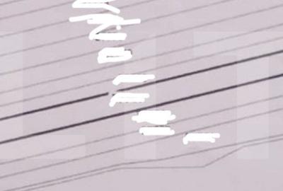 Teren extravilan 12.800 mp Carcea, zona Viaduct, ideal investitie! - 1