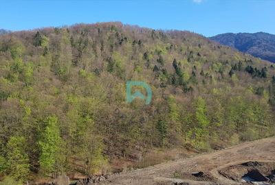 Apartament 3 camere - 10