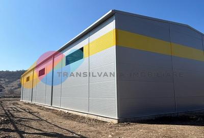 Hale de vânzare – 600 mp, open space, acces TIR, zona intrare Baciu - 4