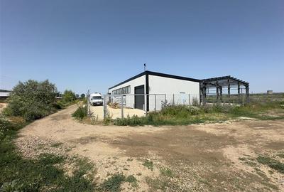 Hale de vanzare/ inchiriere Tomesti - Fiterman, de la 222mp la 573mp - 3
