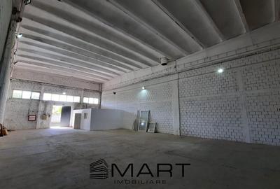 Spațiu industrial, de 800.00 mp, în Turnișor