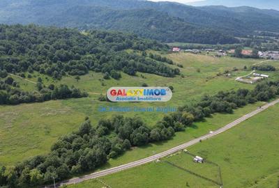 Vindem teren 20000 mp Cheile Rasnoavei - Brasov , pentru case vacanta - 4